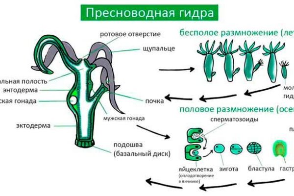 Сайт кракена в торе