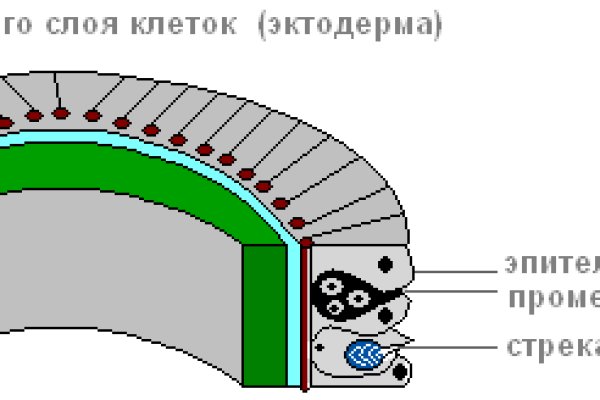 Рабочие ссылки и зеркала кракен