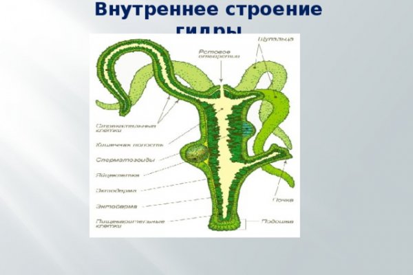 Кракен зеркало москва